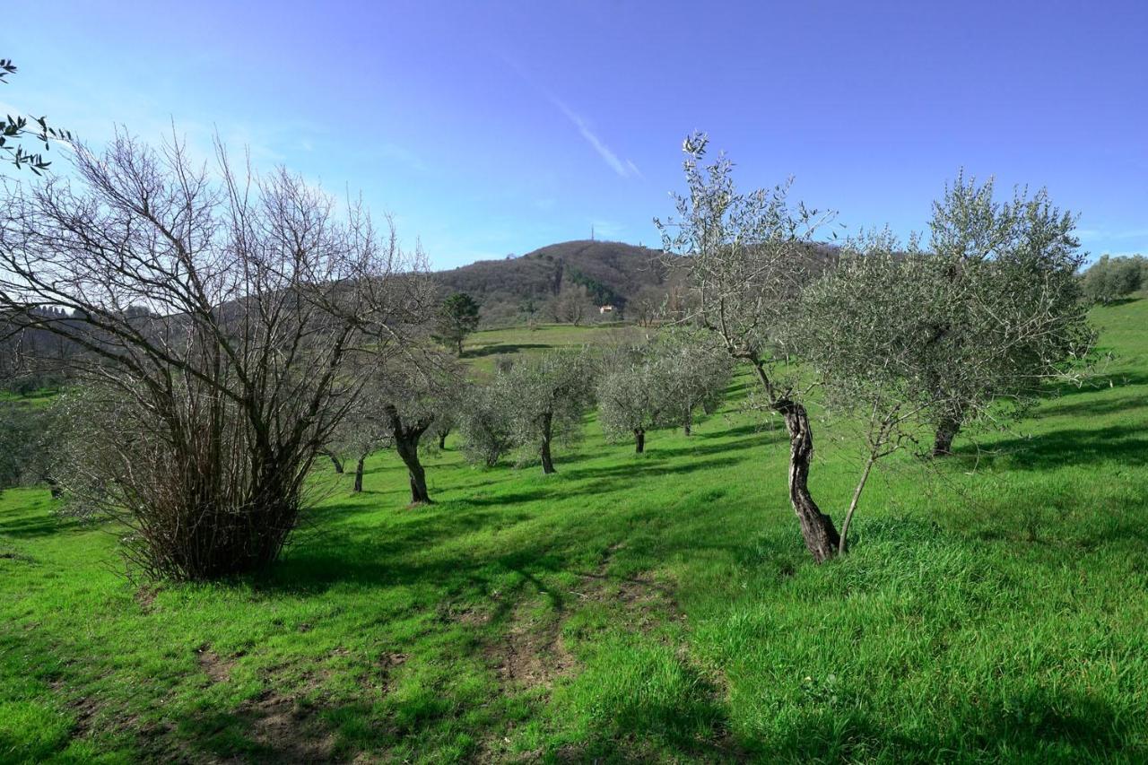 Il Podere La Casina Monsummano Terme Exterior photo